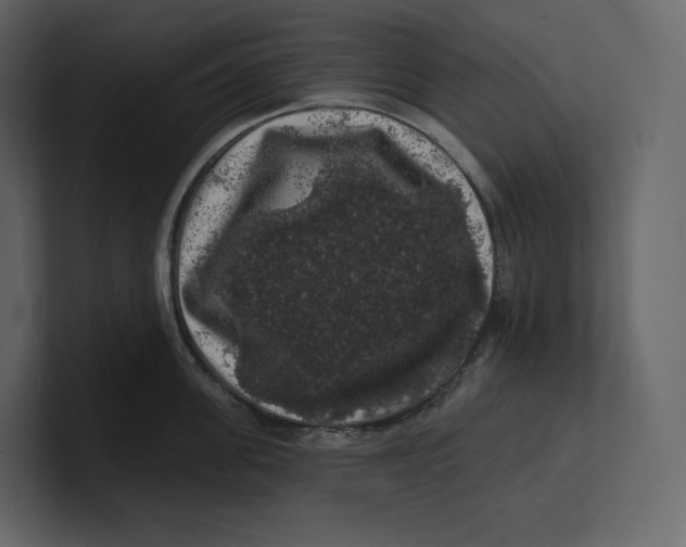 X0000100890955200807151054