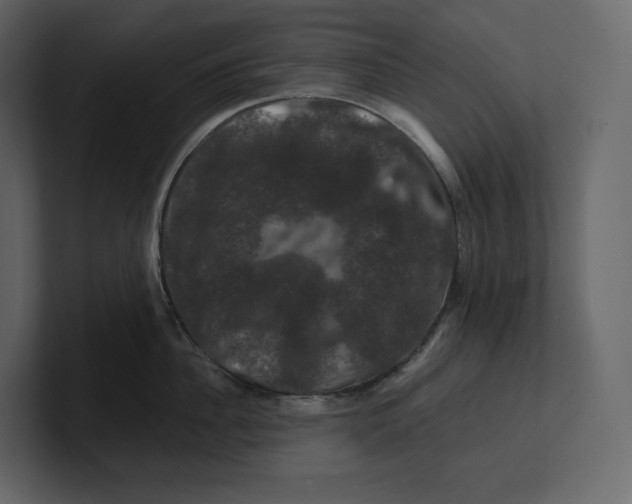 X0000100890956200807151054