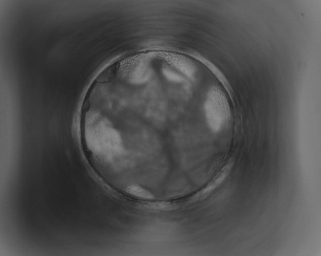 X0000100890957200807151054