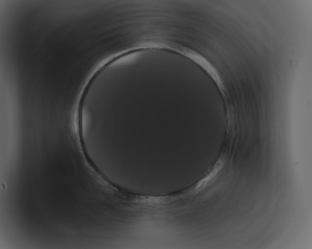 X0000100890958200807151054