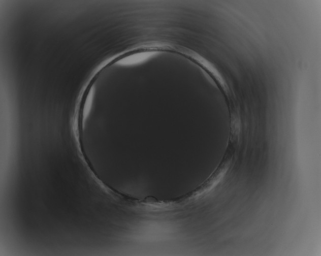 X0000100890959200807151054