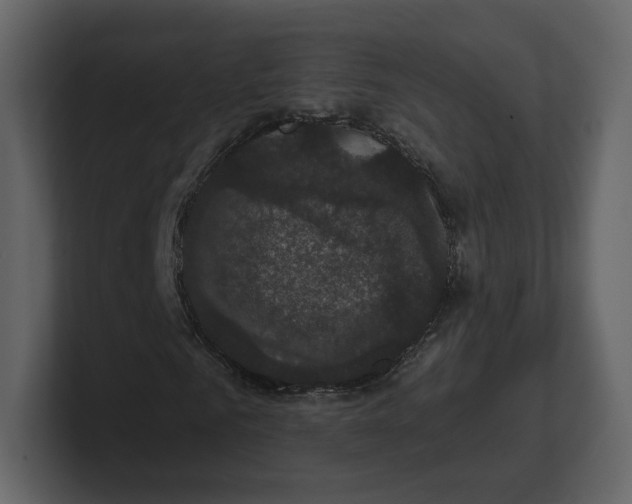 X0000100890961200807151054