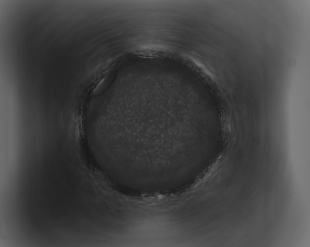 X0000100890965200807151054