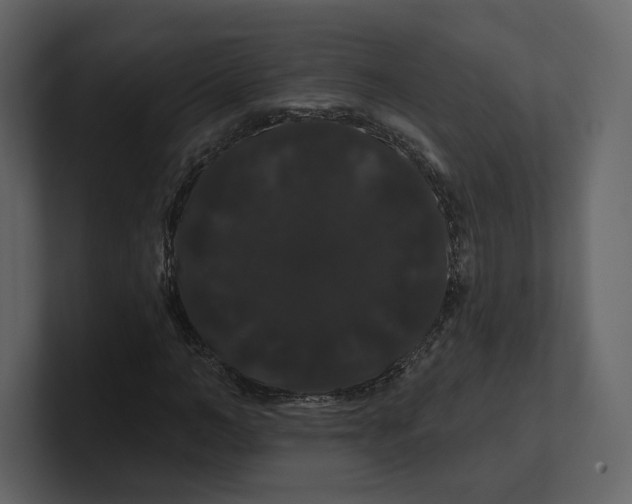 X0000100890966200807151054