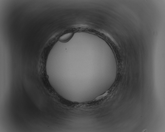 X0000100890967200807151054