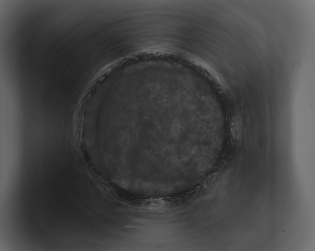 X0000100890968200807151054