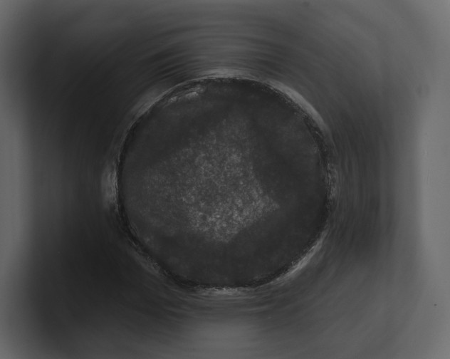 X0000100890969200807151054