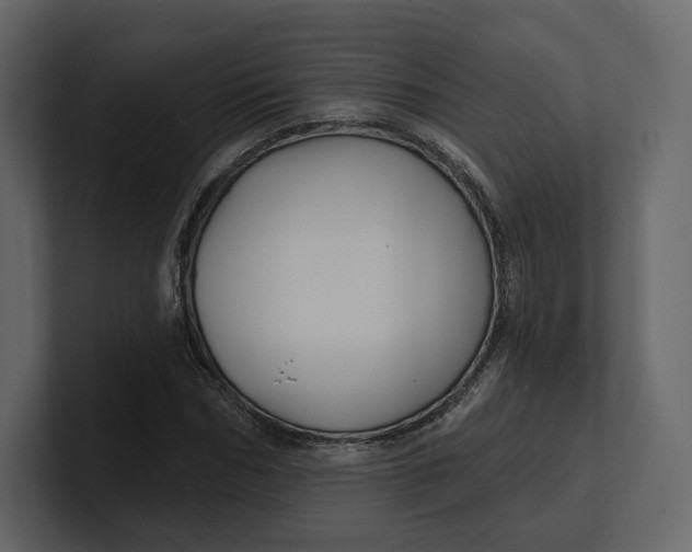 X0000100890970200807151054