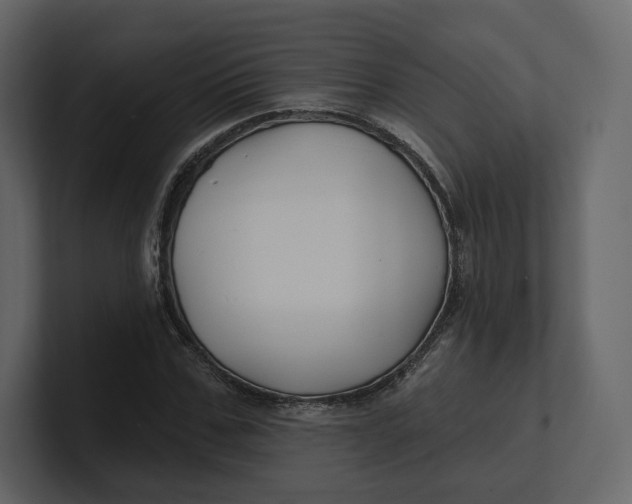 X0000100890971200807151053