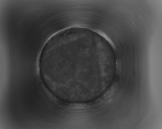 X0000100890972200807151053