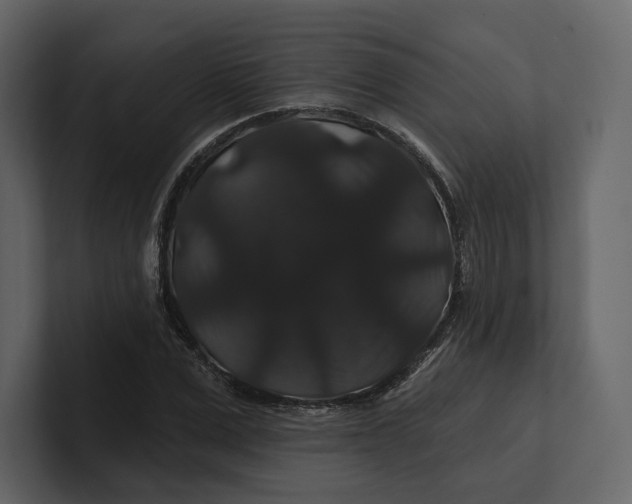 X0000100890975200807151053