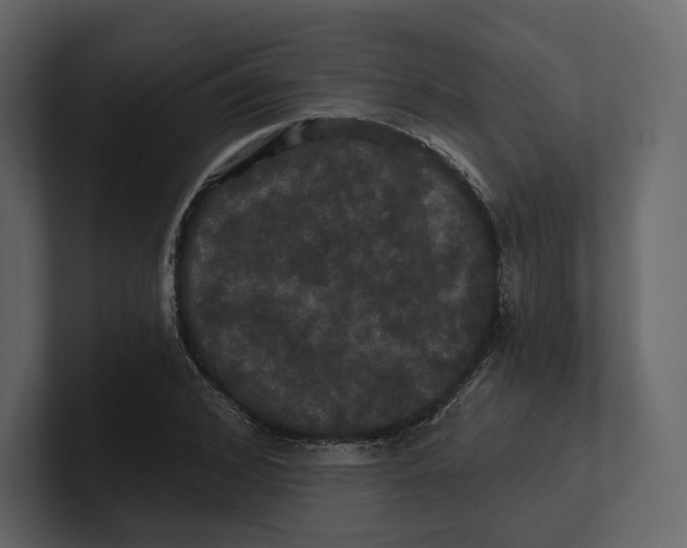 X0000100890976200807151053