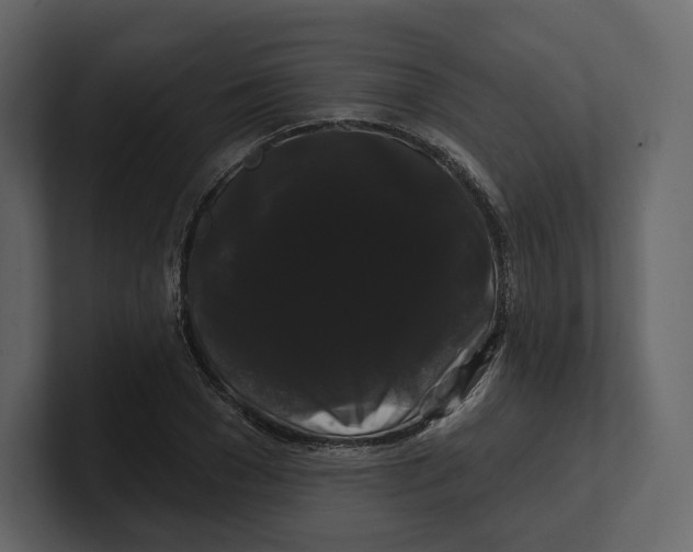 X0000100890977200807151053