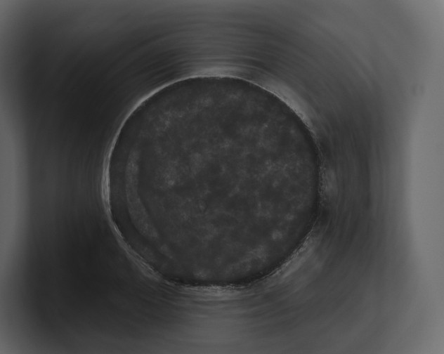 X0000100890980200807151053