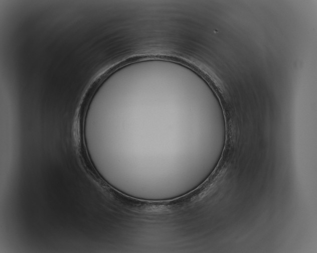 X0000100890982200807151053