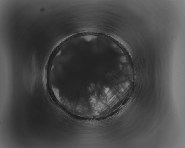 X0000100890983200807151053