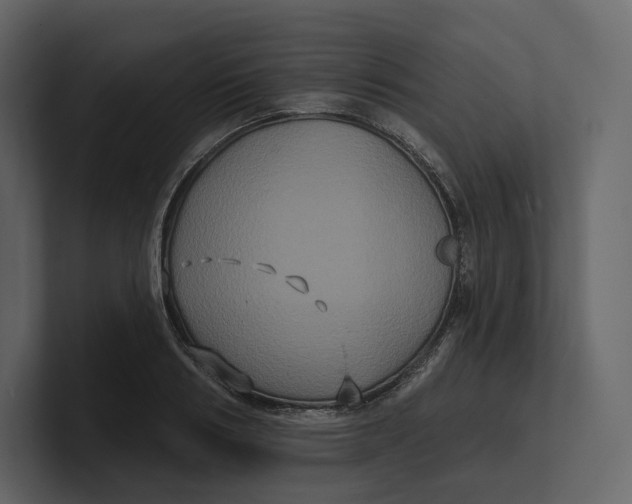 X0000100890986200807151053