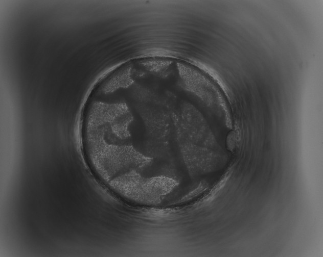 X0000100890987200807151053