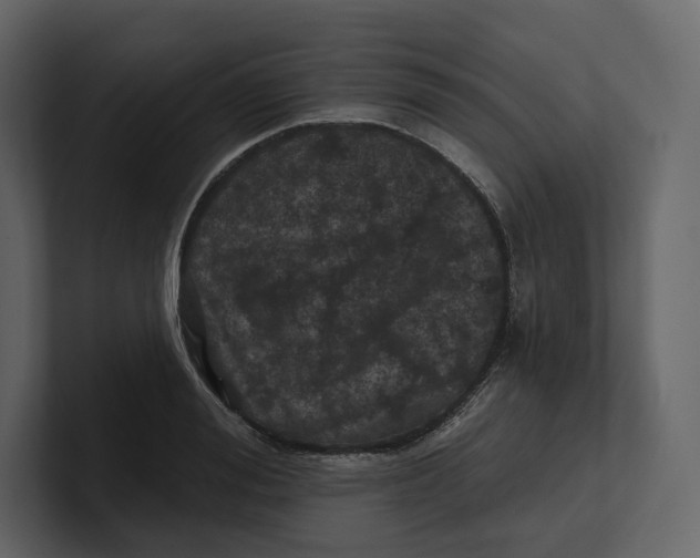 X0000100890988200807151053