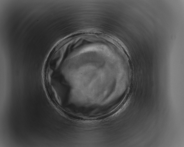 X0000100890989200807151053