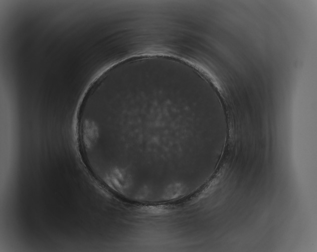 X0000100890990200807151053