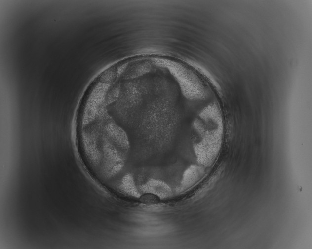 X0000100890991200807151053