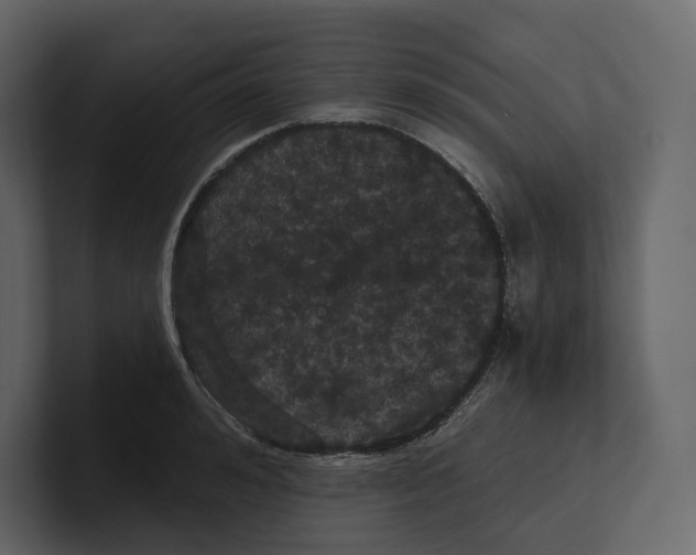 X0000100890992200807151053