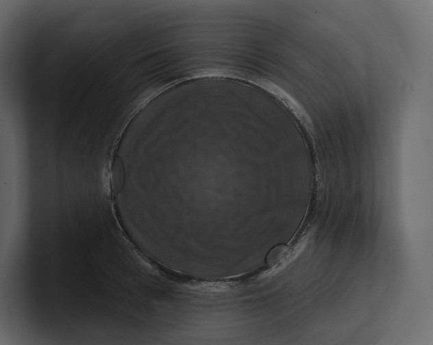 X0000100890993200807151053