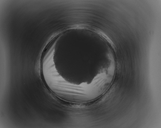 X0000100890994200807151053