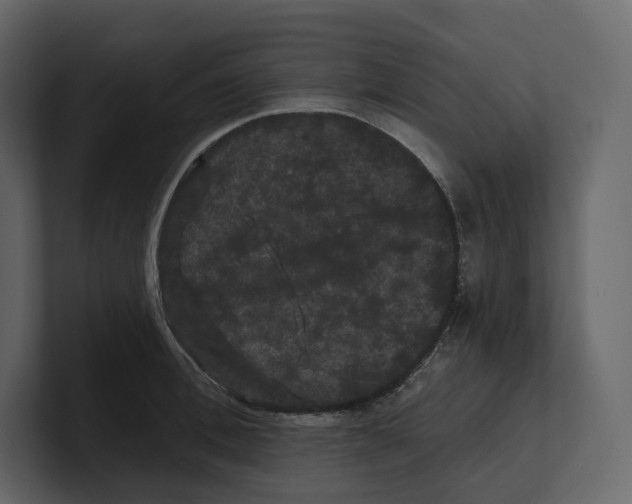 X0000100890996200807151053