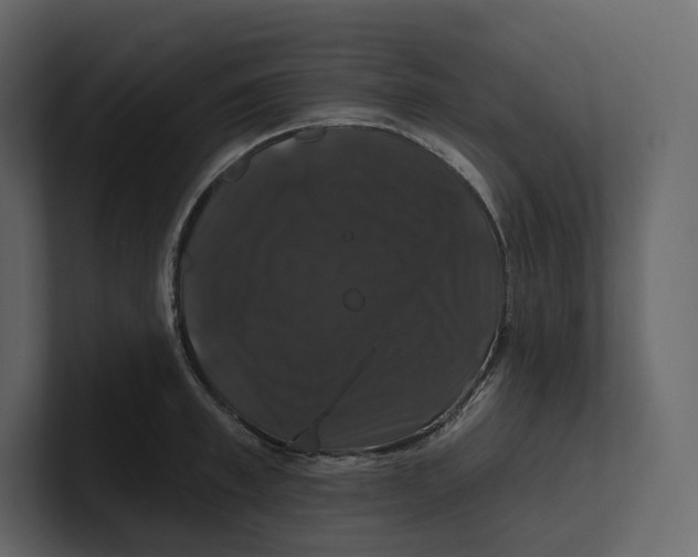 X0000100890997200807151053