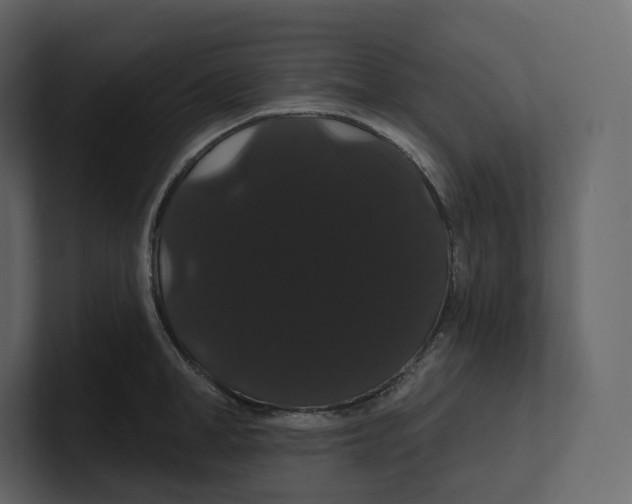 X0000100890998200807151053