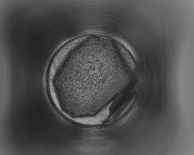 X0000100890999200807151053