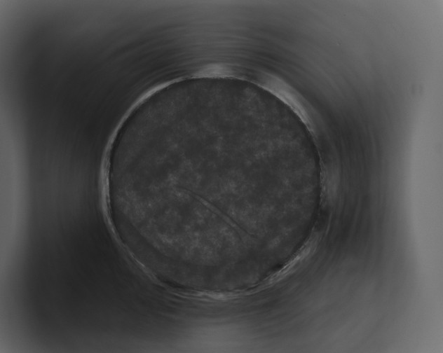 X0000100891000200807151053