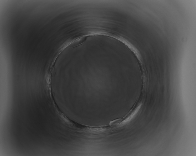 X0000100891001200807151053