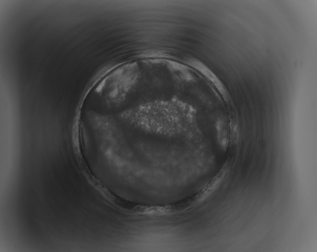 X0000100891002200807151053