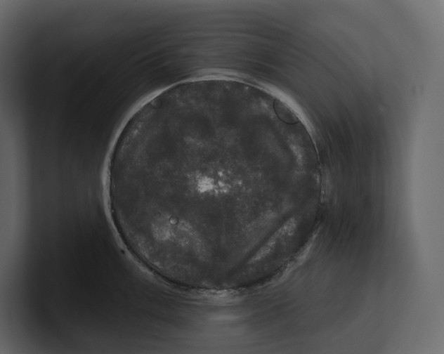 X0000100891003200807151053