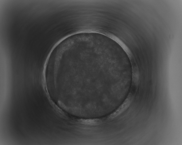 X0000100891004200807151053