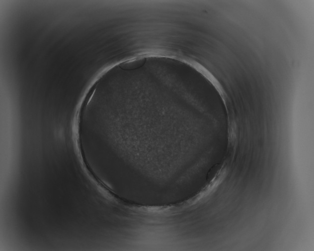 X0000100891005200807151053