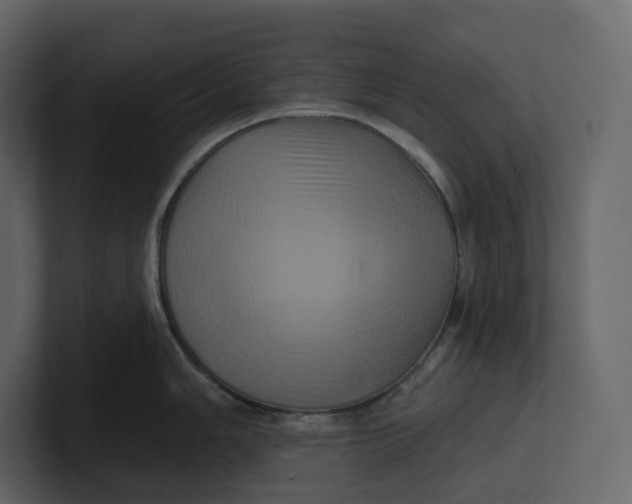 X0000100891006200807151053