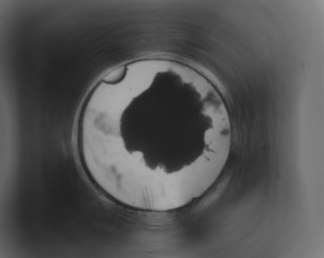 X0000100891007200807151053