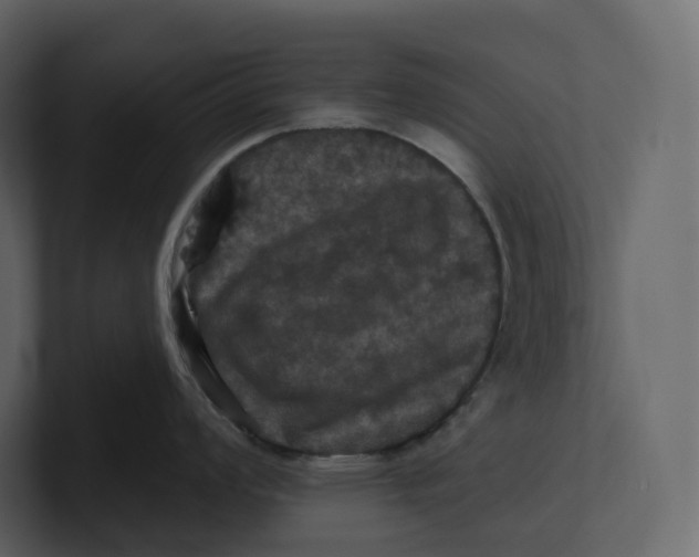 X0000100891008200807151053