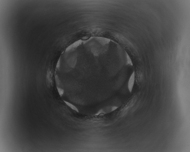 X0000100891010200807151052