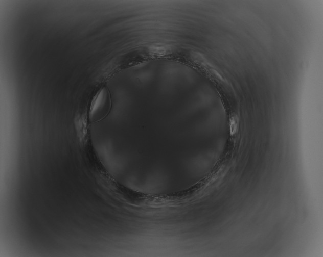 X0000100891011200807151052