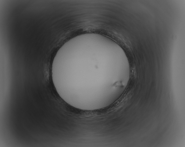 X0000100891012200807151052