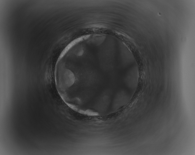 X0000100891014200807151052