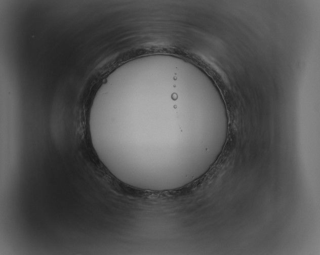 X0000100891015200807151052