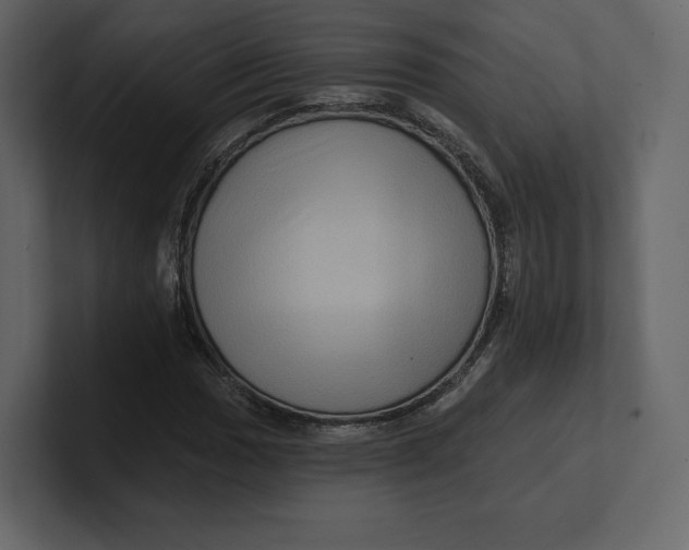 X0000100891017200807151052