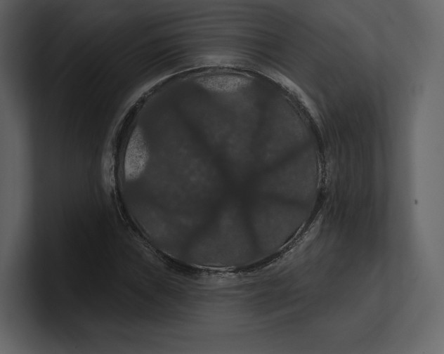 X0000100891019200807151053