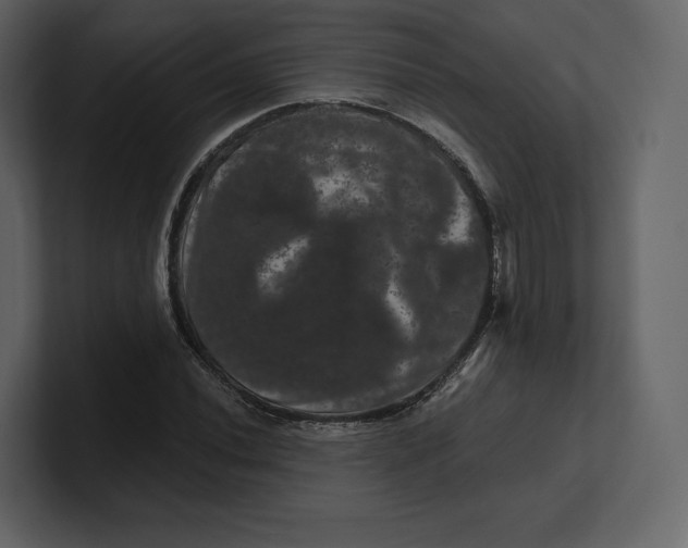 X0000100891020200807151053